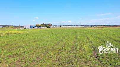 Investor Call For Farm Life ! Open Homes